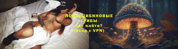 дмт Алзамай