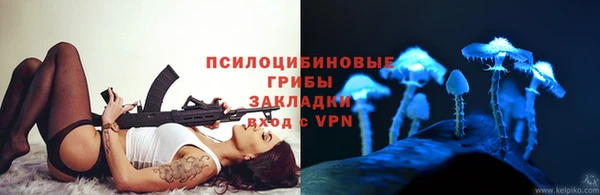 дмт Алзамай