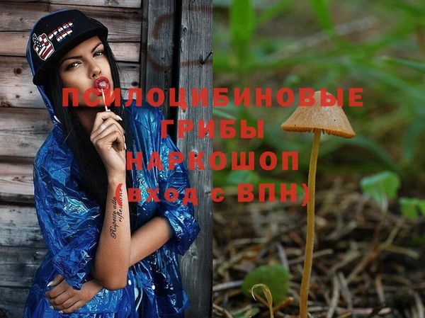 дмт Алзамай